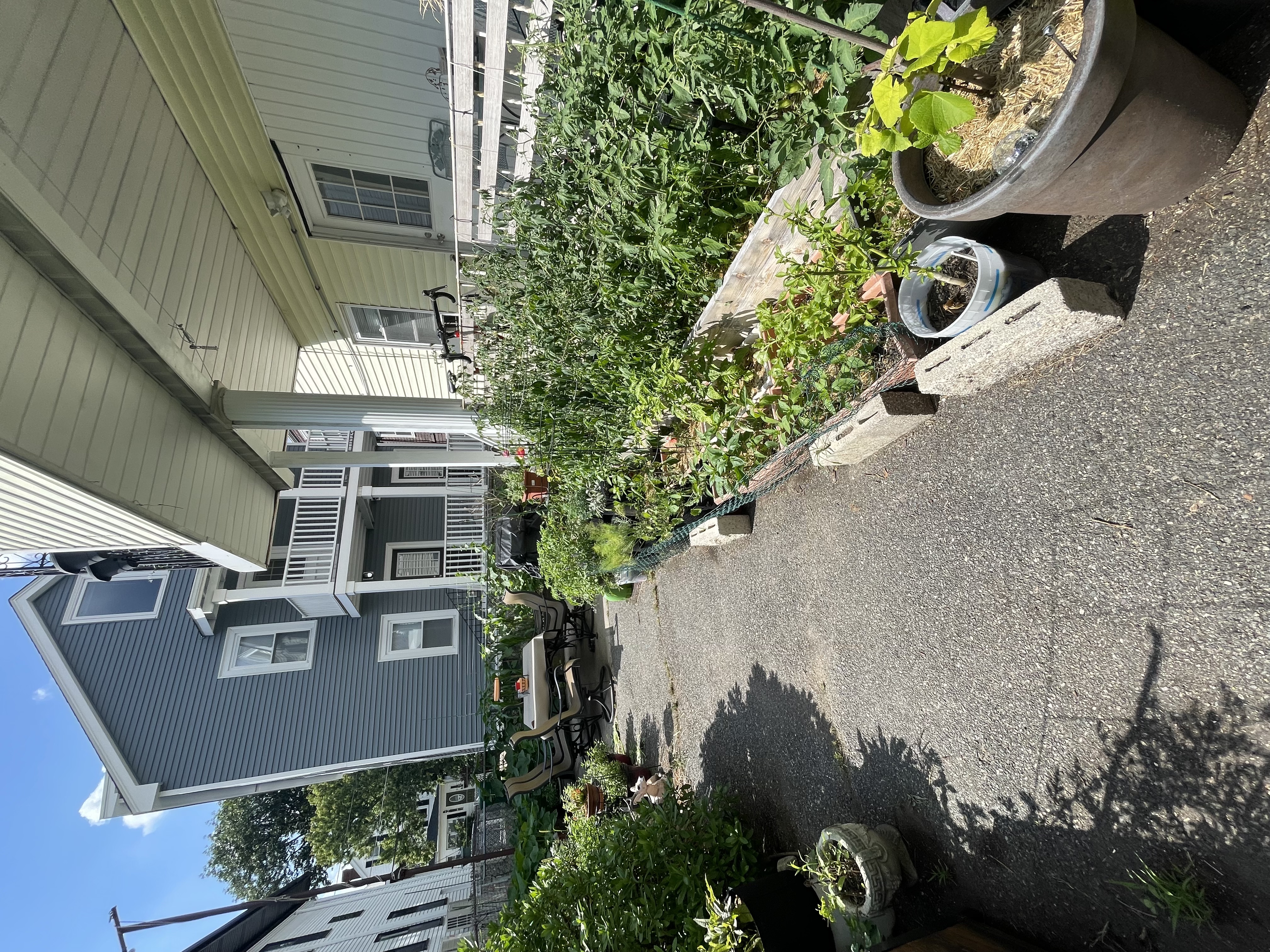 3 bed, 1 bath apartment for rent at 293 Boston Ave Unit 2, Medford — photo 26 of 28