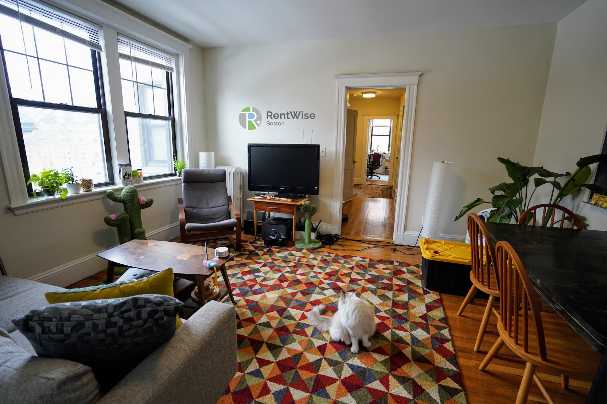 3 bed, 1 bath apartment for rent at 294 Harvard St Unit 6, Mid-Cambridge — photo 2 of 20