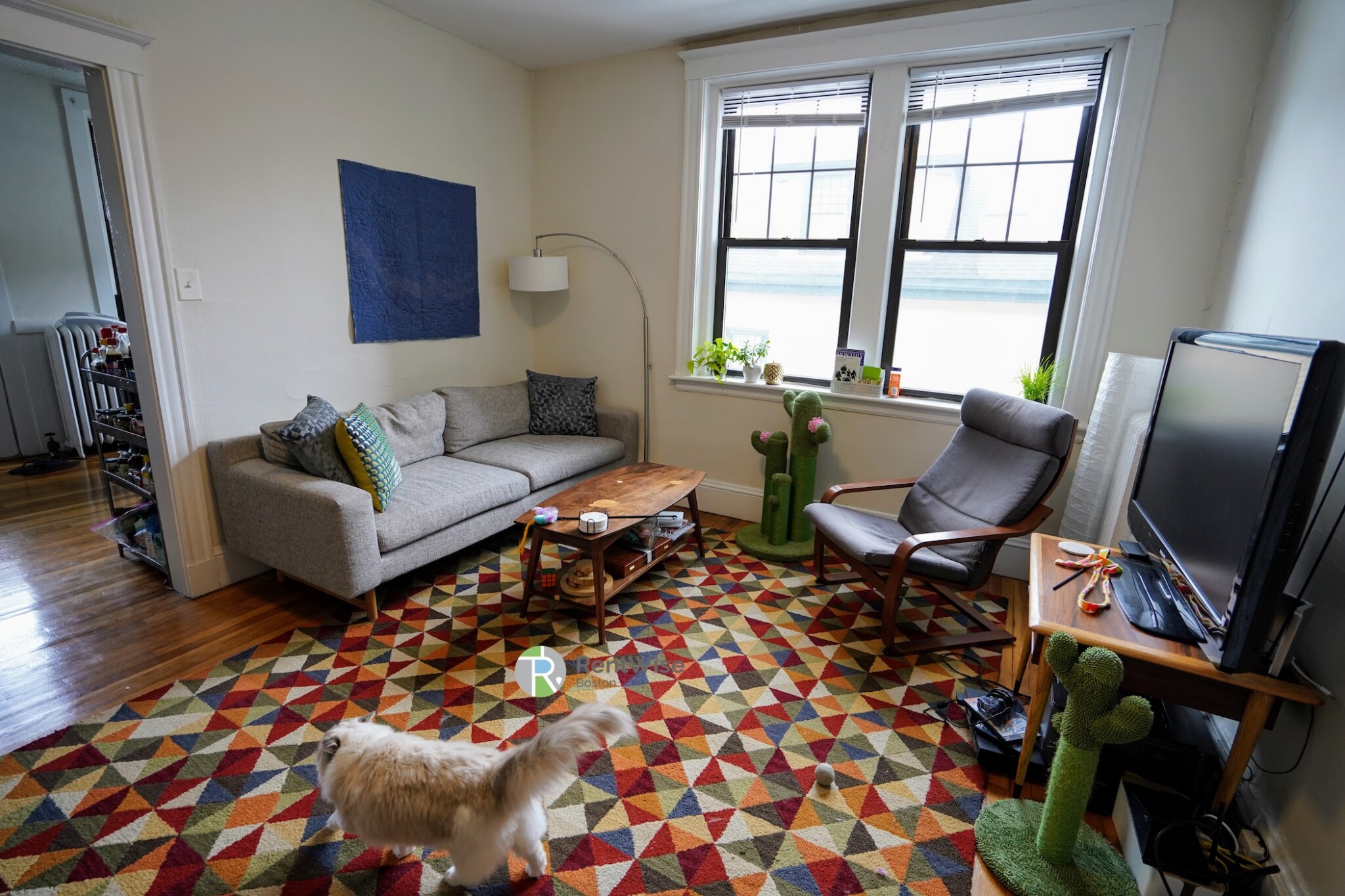 3 bed, 1 bath apartment for rent at 294 Harvard St Unit 6, Mid-Cambridge