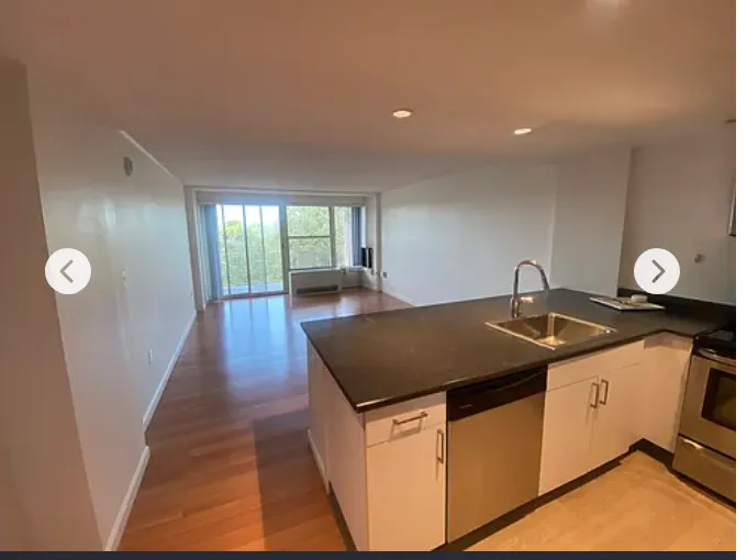 1 bed, 1 bath apartment for rent at 295 Harvard St Unit 1001, Mid-Cambridge — photo 8 of 12