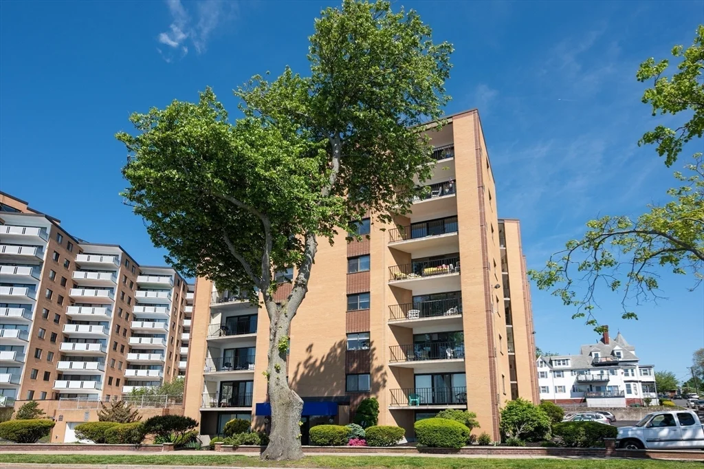 2 bed, 1 bath apartment for rent at 295 Lynn Shore Dr Unit 705, Diamond District — photo 1 of 21