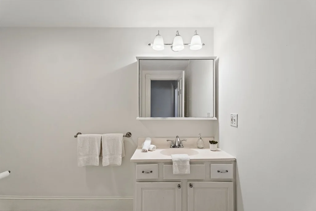 1 bed, 1 bath apartment for rent at 296 West 3rd Unit U1, South Boston — photo 11 of 22