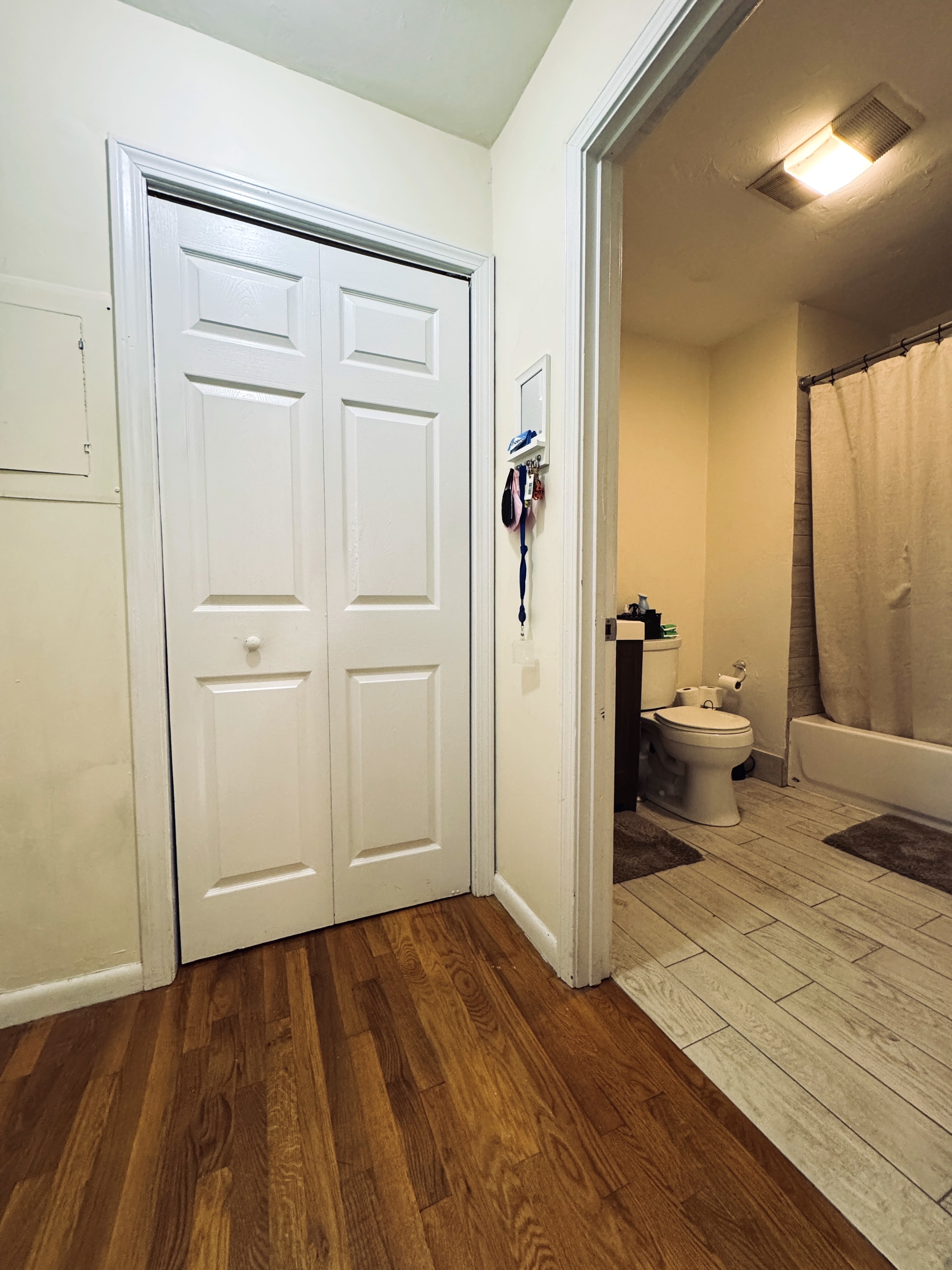 1.5 bed, 1 bath apartment for rent at 297 Meridian St Unit 2, Eagle Hill — photo 6 of 9
