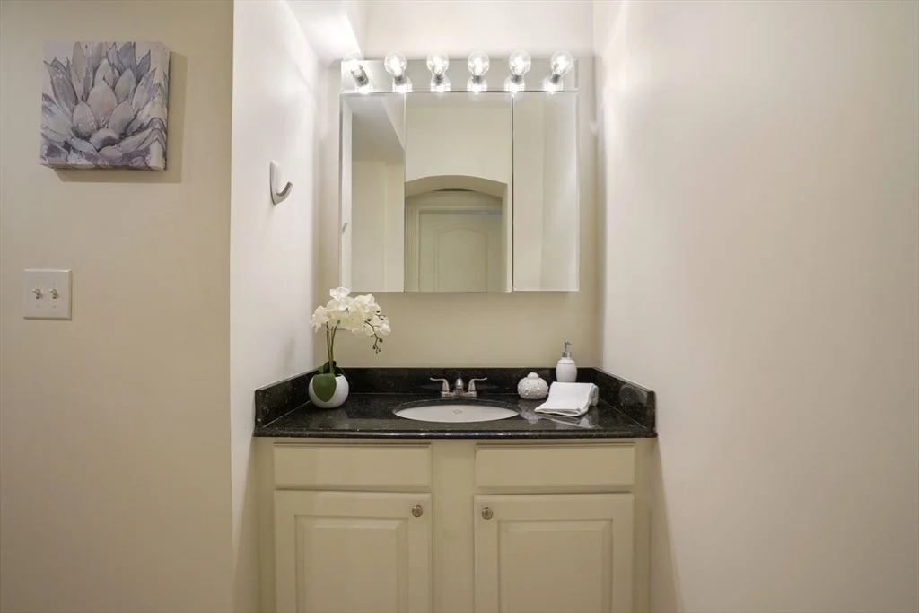 2 bed, 2 bath apartment for rent at 298 Marlborough Unit 1, Back Bay — photo 16 of 24