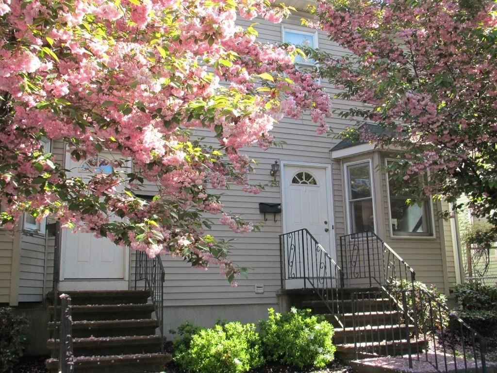 3 bed, 2 bath apartment for rent at 299 River St Unit 299, Waltham — photo 1 of 10