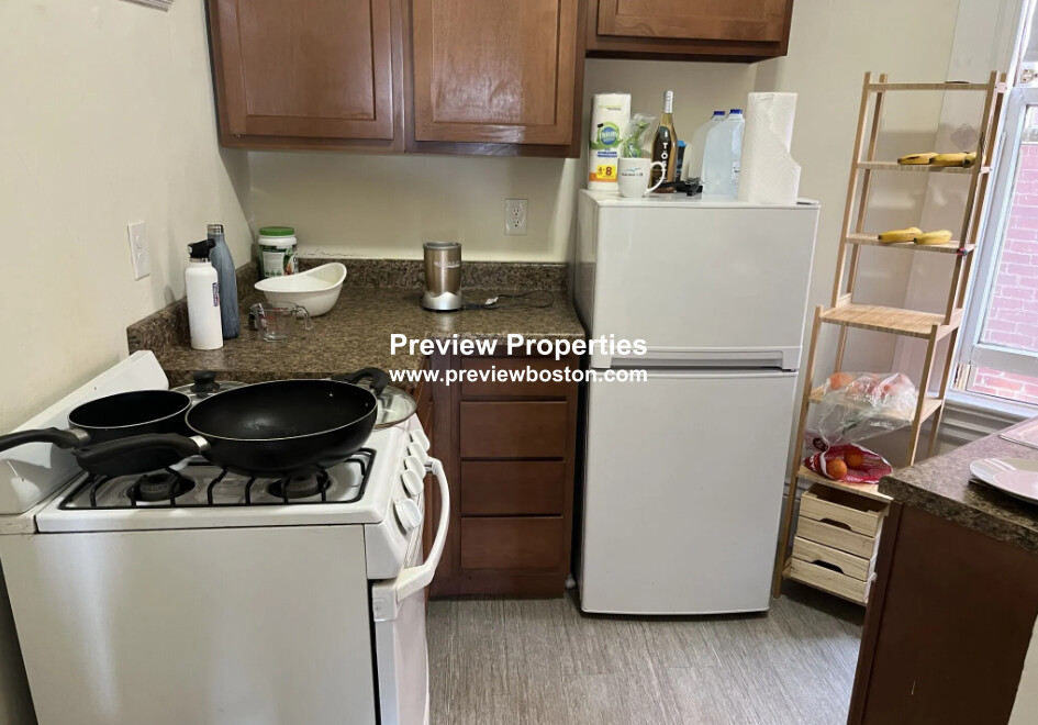 1 bed, 1 bath apartment for rent at 2W Ware St Unit 501P, Mid Cambridge — photo 3 of 8