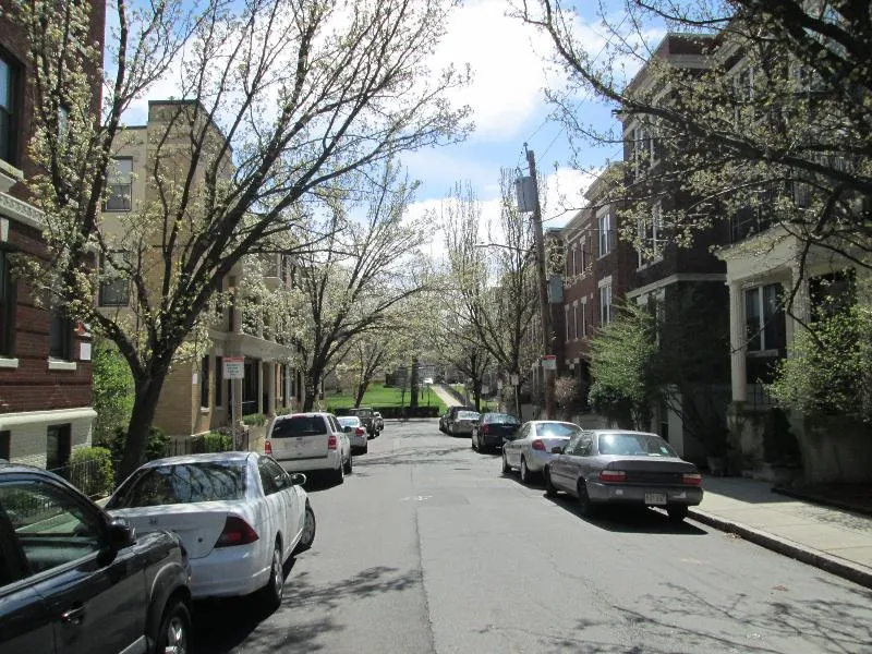2 bed, 1 bath apartment for rent at 3 Carol Ave Unit 1, Brighton — photo 20 of 22