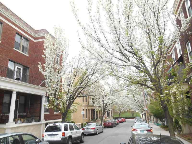 2 bed, 1 bath apartment for rent at 3 Carol Ave Unit 1, Brighton — photo 21 of 22