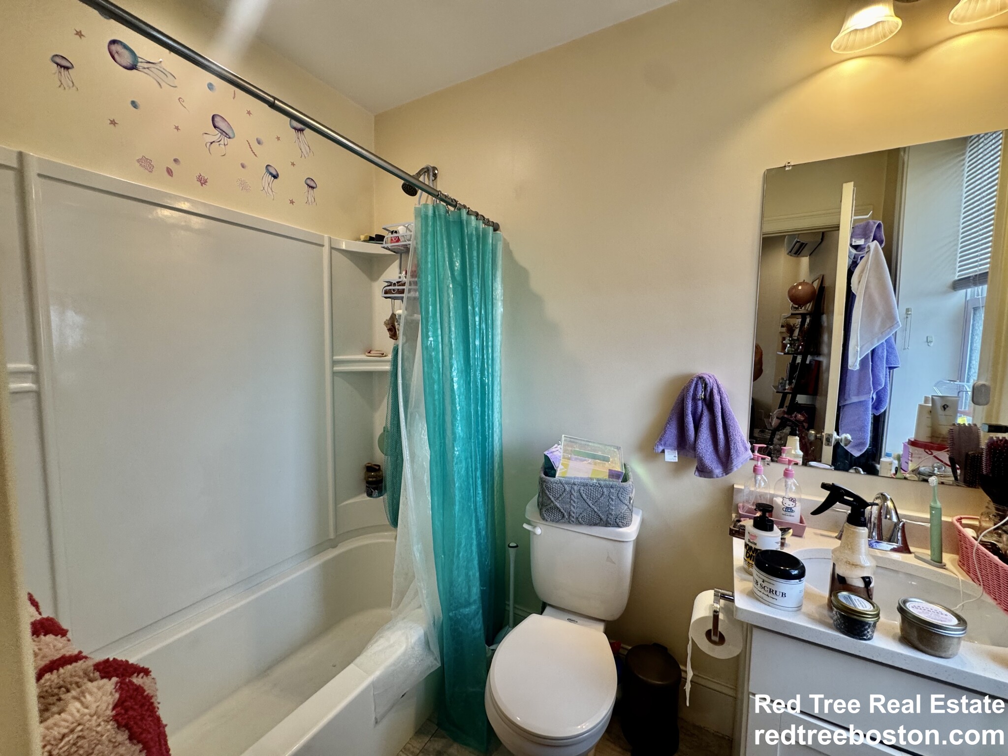 1 bed, 1 bath apartment for rent at 3 Edwin St Unit 3, Dorchester — photo 7 of 10