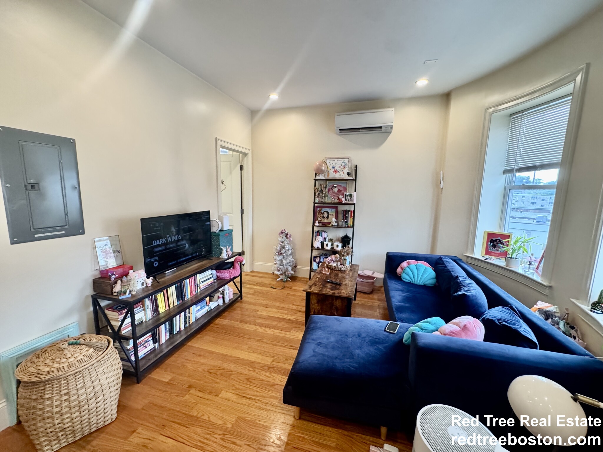 1 bed, 1 bath apartment for rent at 3 Edwin St Unit 3, Dorchester — photo 2 of 10