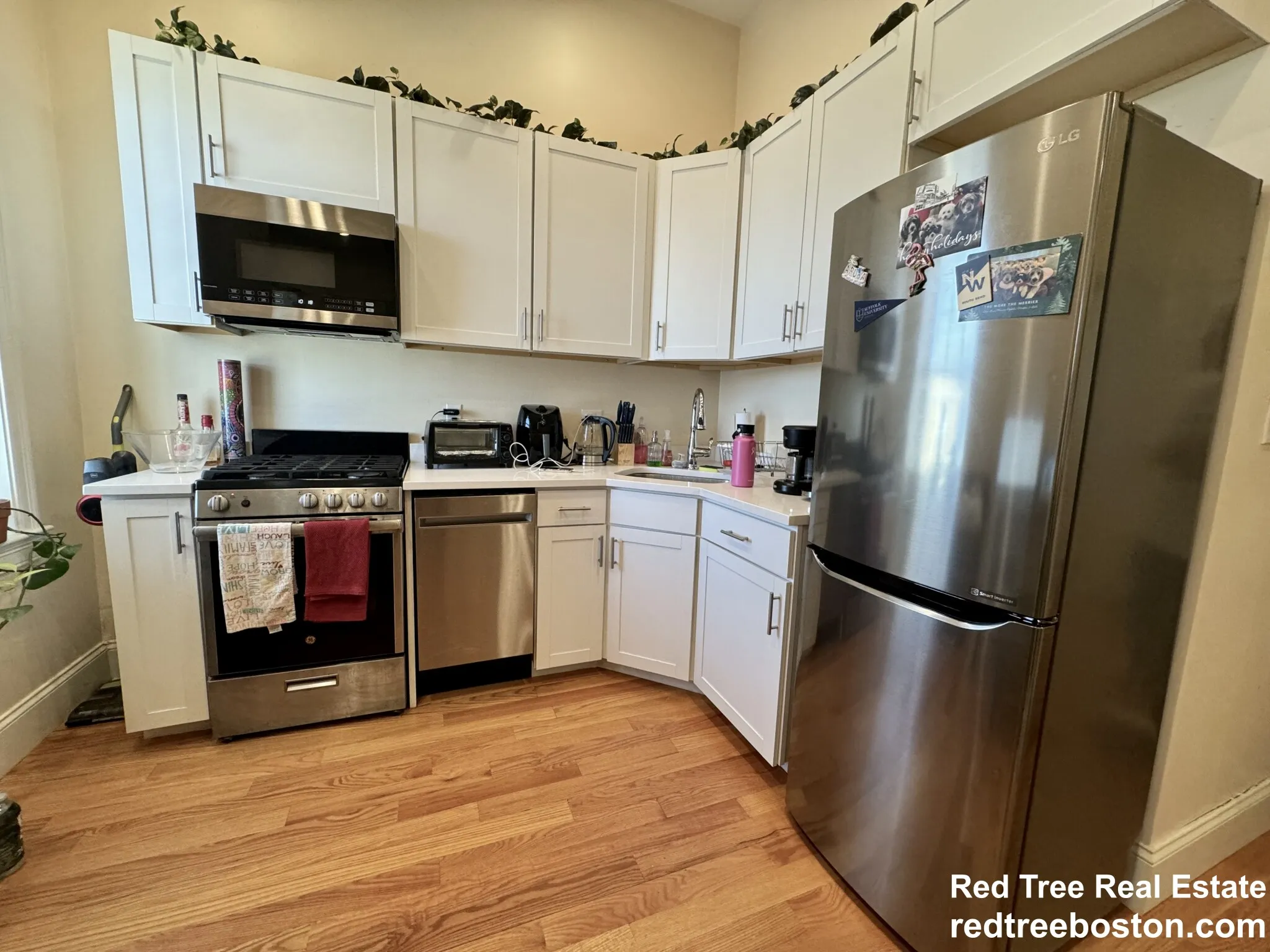 1 bed, 1 bath apartment for rent at 3 Edwin St Unit 5, Dorchester — photo 2 of 8