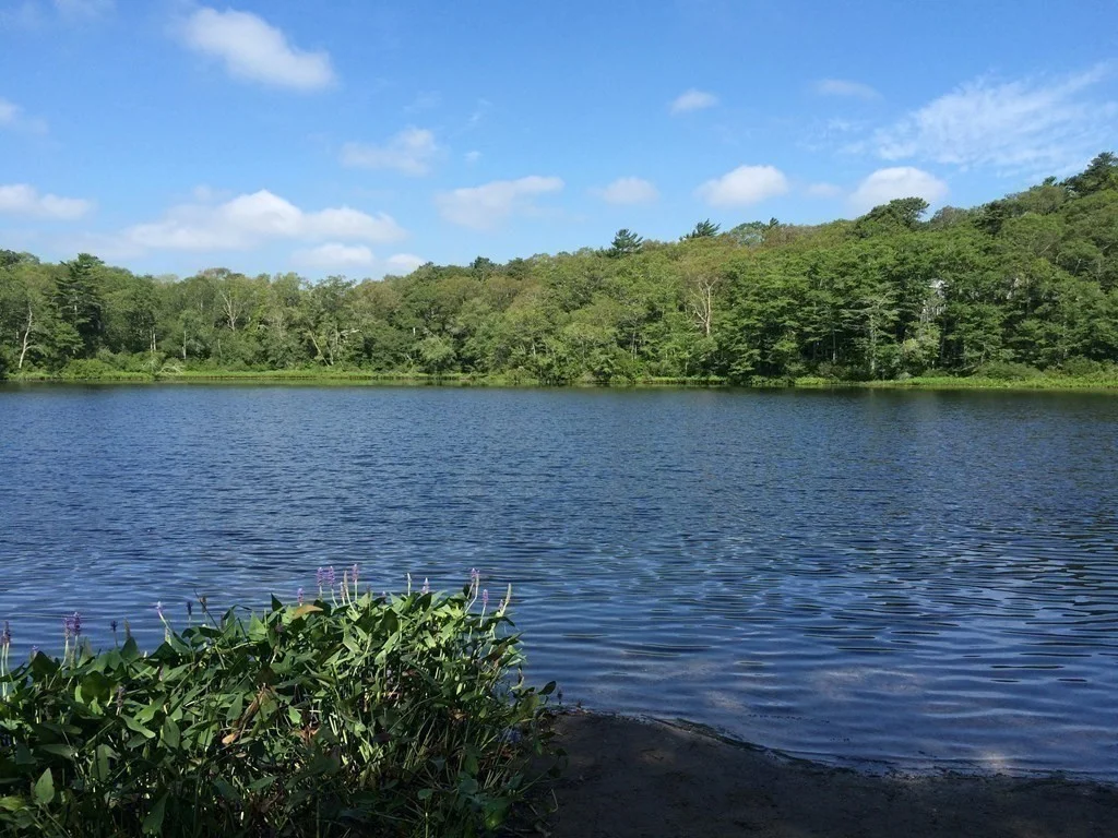 3 bed, 1 bath apartment for rent at 3 Foxglove Dr, Manomet — photo 34 of 36