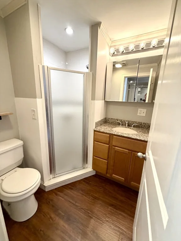 1 bed, 2 bath apartment for rent at 3 K Street Pl Unit 1/B, South Boston — photo 10 of 11