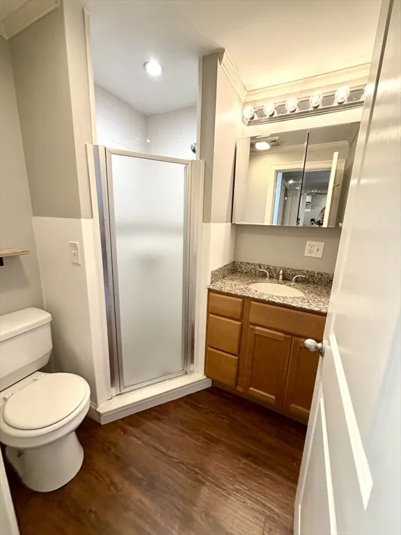 Studio bed, 1 bath apartment for rent at 3 K Street Pl Unit B, South Boston — photo 3 of 8