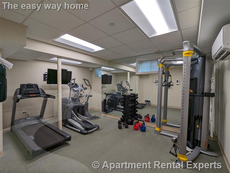 1 bed, 1 bath apartment for rent at 3 Langdon St Unit 1, Harvard Square — photo 5 of 7