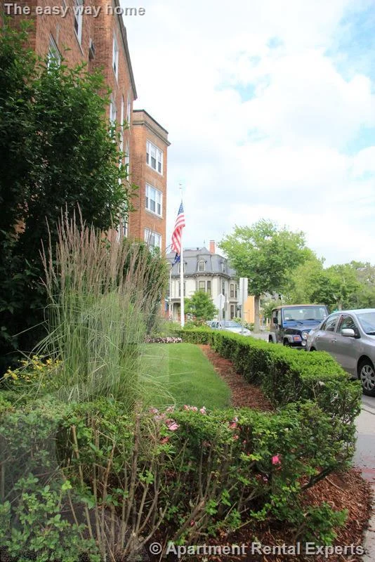 1 bed, 1 bath apartment for rent at 3 Langdon St Unit 4, Harvard Square — photo 1 of 9