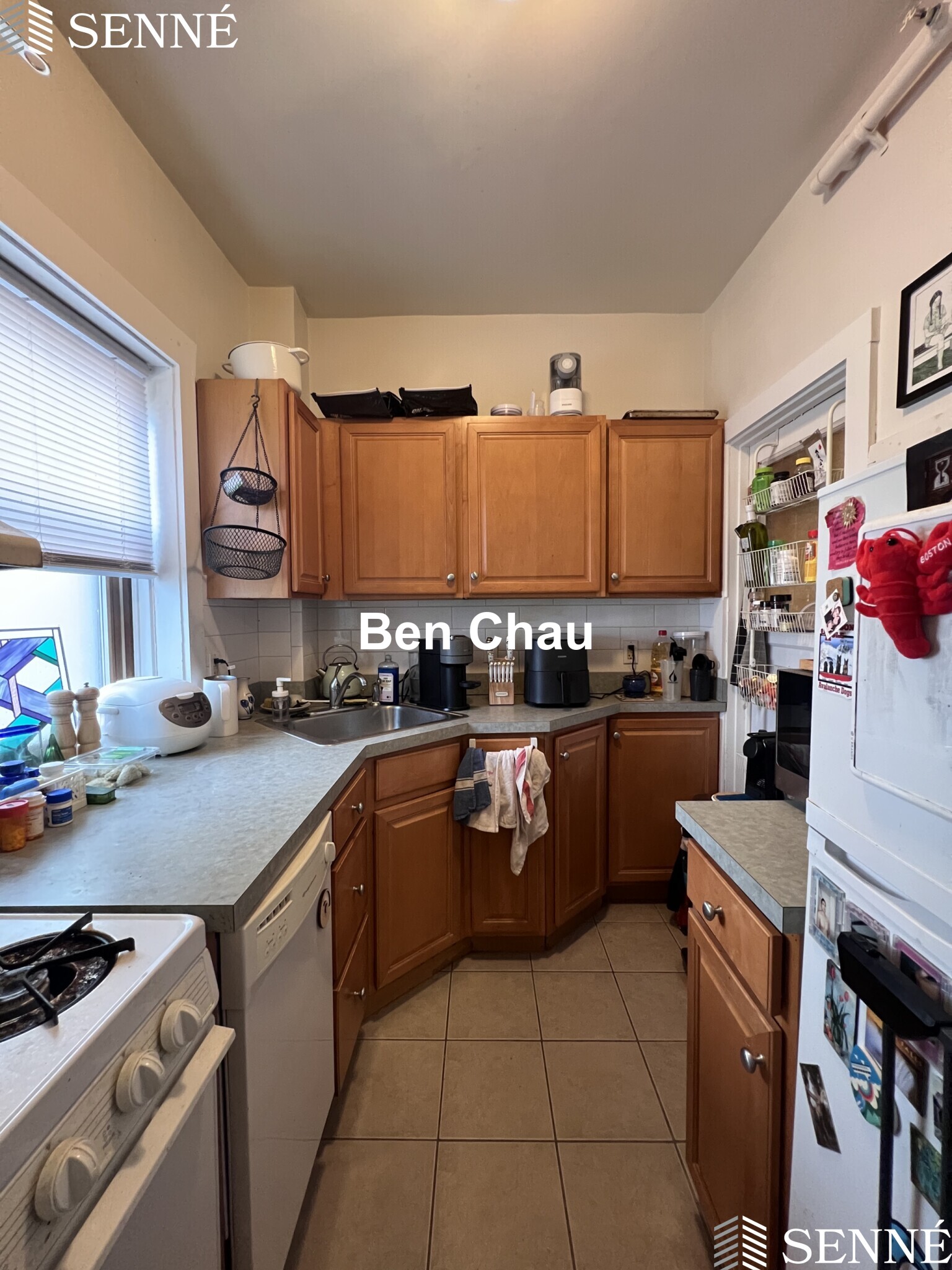 2 bed, 1 bath apartment for rent at 3 Linnaean St Unit 24B, Neighborhood Nine — photo 3 of 15