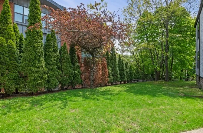 4 bed, 3 bath apartment for rent at 3 Philbrick Rd, Brookline Hills — photo 5 of 20