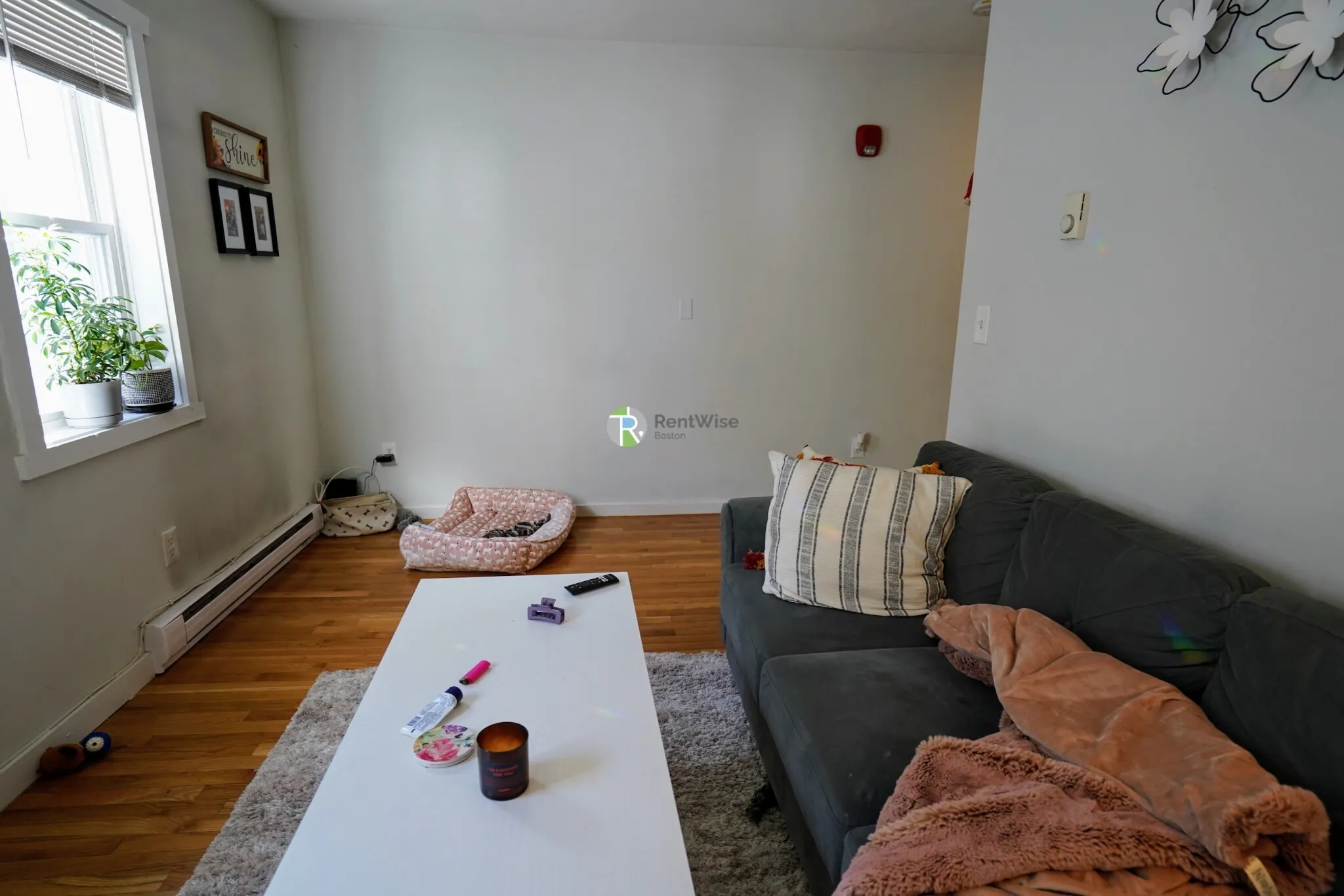 1 bed, 1 bath apartment for rent at 3 Schrepel Pl Unit 1, South Boston — photo 2 of 24