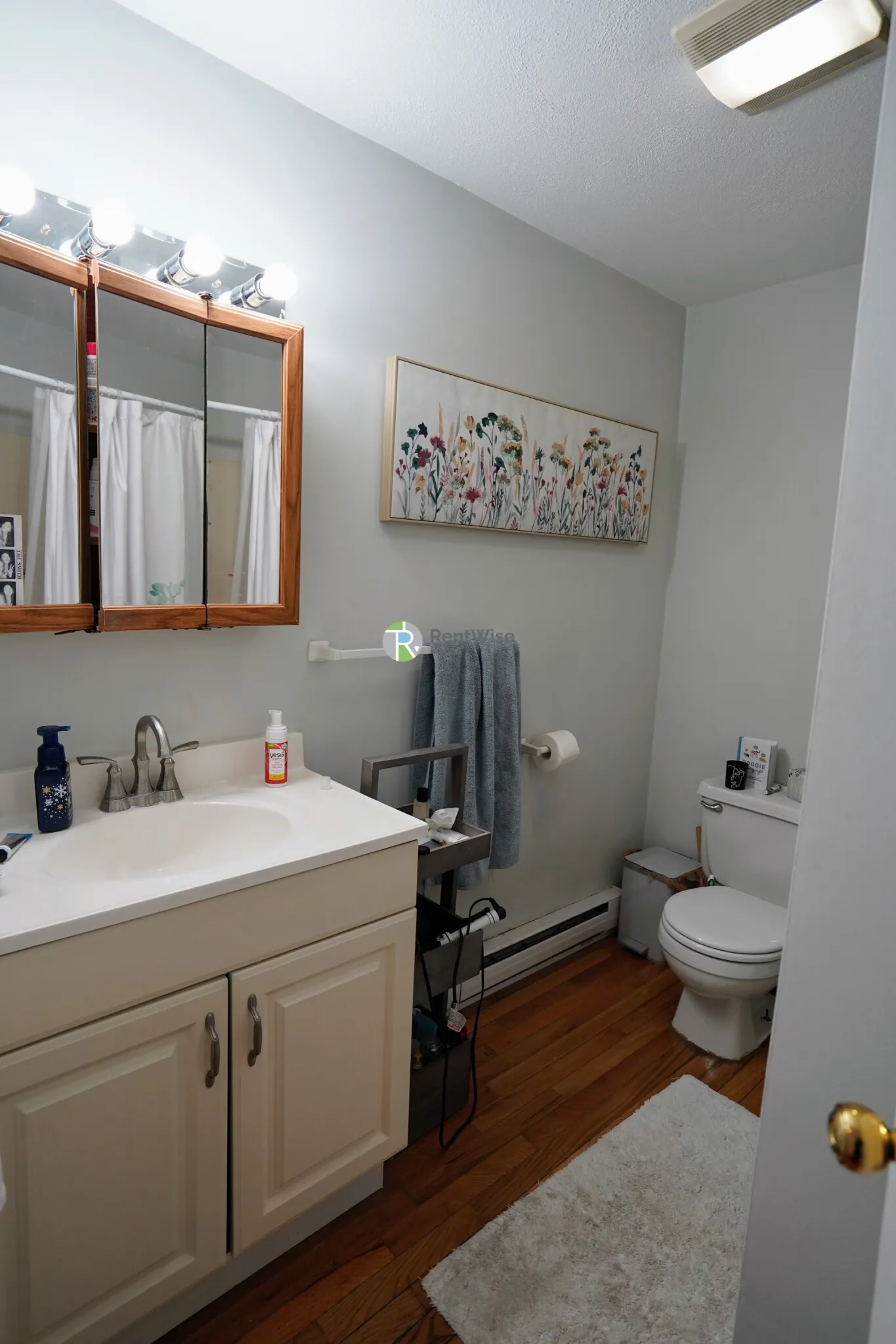1 bed, 1 bath apartment for rent at 3 Schrepel Pl Unit 1, South Boston — photo 12 of 24