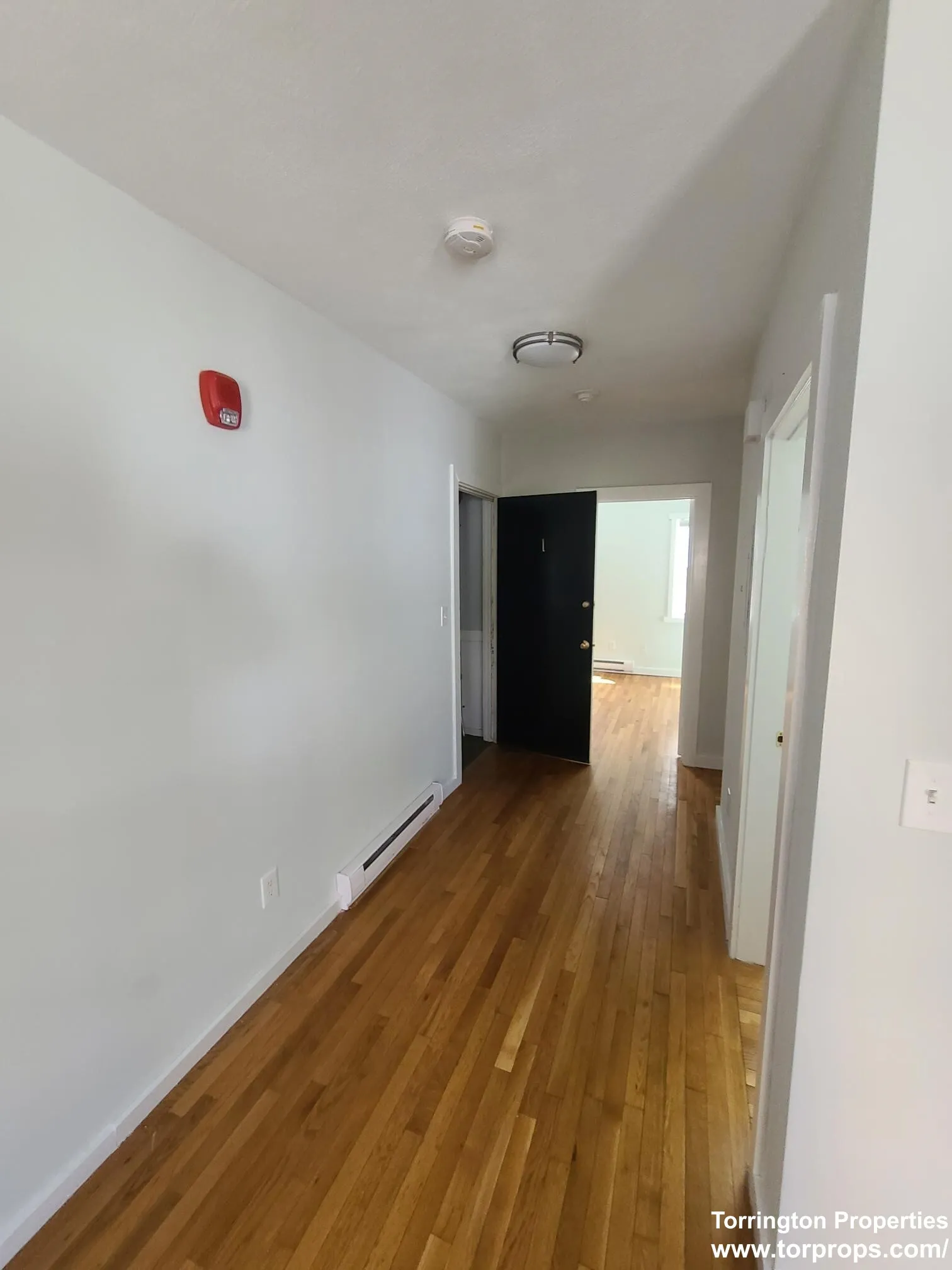 1 bed, 1 bath apartment for rent at 3 Schrepel Pl Unit 1, South Boston — photo 19 of 24