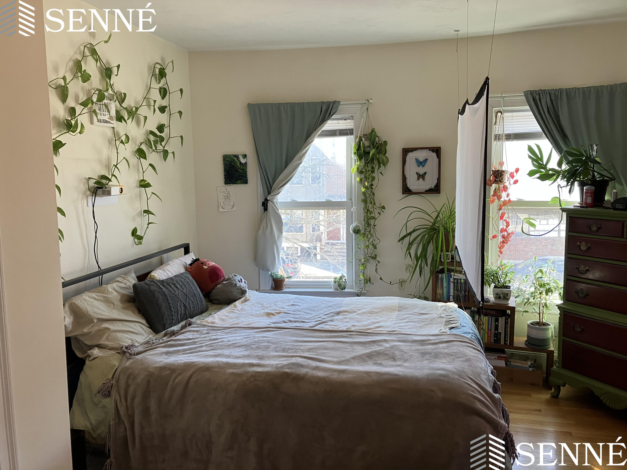 1 bed, 1 bath apartment for rent at 3 Westminster St Unit 3, Teele Square — photo 7 of 11