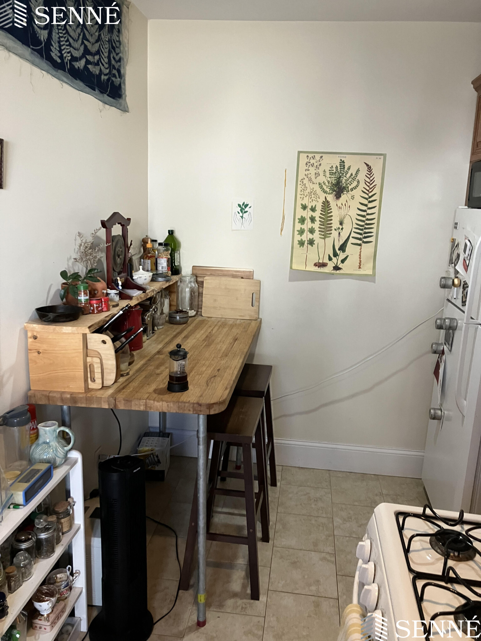 1 bed, 1 bath apartment for rent at 3 Westminster St Unit 3, Teele Square — photo 2 of 11