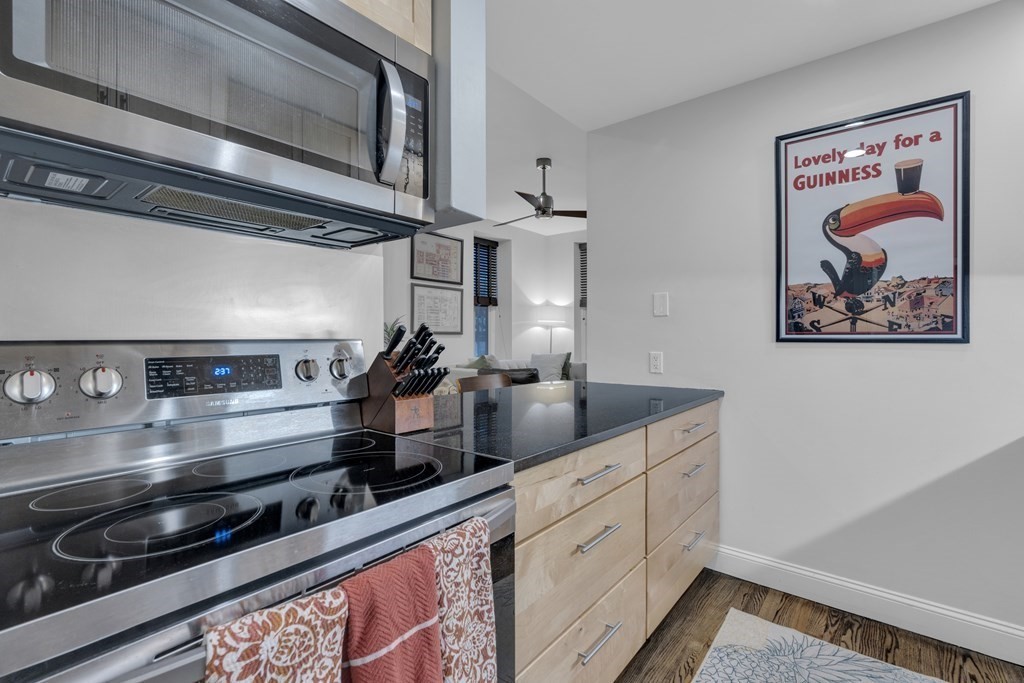 2 bed, 1 bath apartment for rent at 30 East Concord St Unit 11, Boston — photo 8 of 13