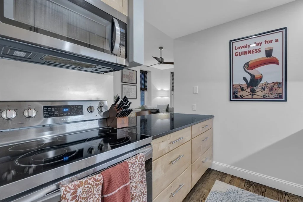 2 bed, 1 bath apartment for rent at 30-34 E Concord St Unit 11, South End — photo 9 of 17