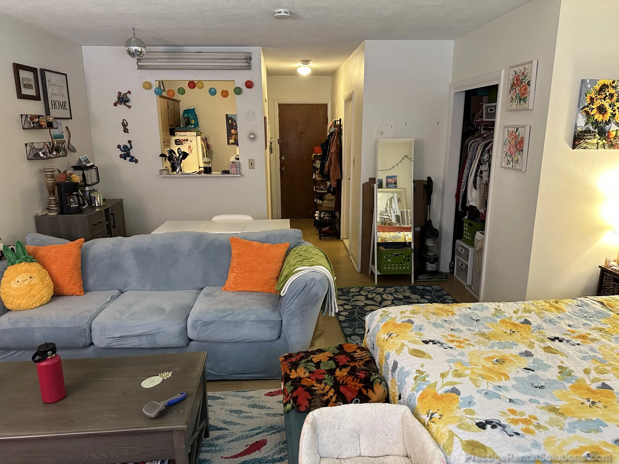 Studio bed, 1 bath apartment for rent at 30 Allston St Unit 2, Brighton — photo 2 of 11