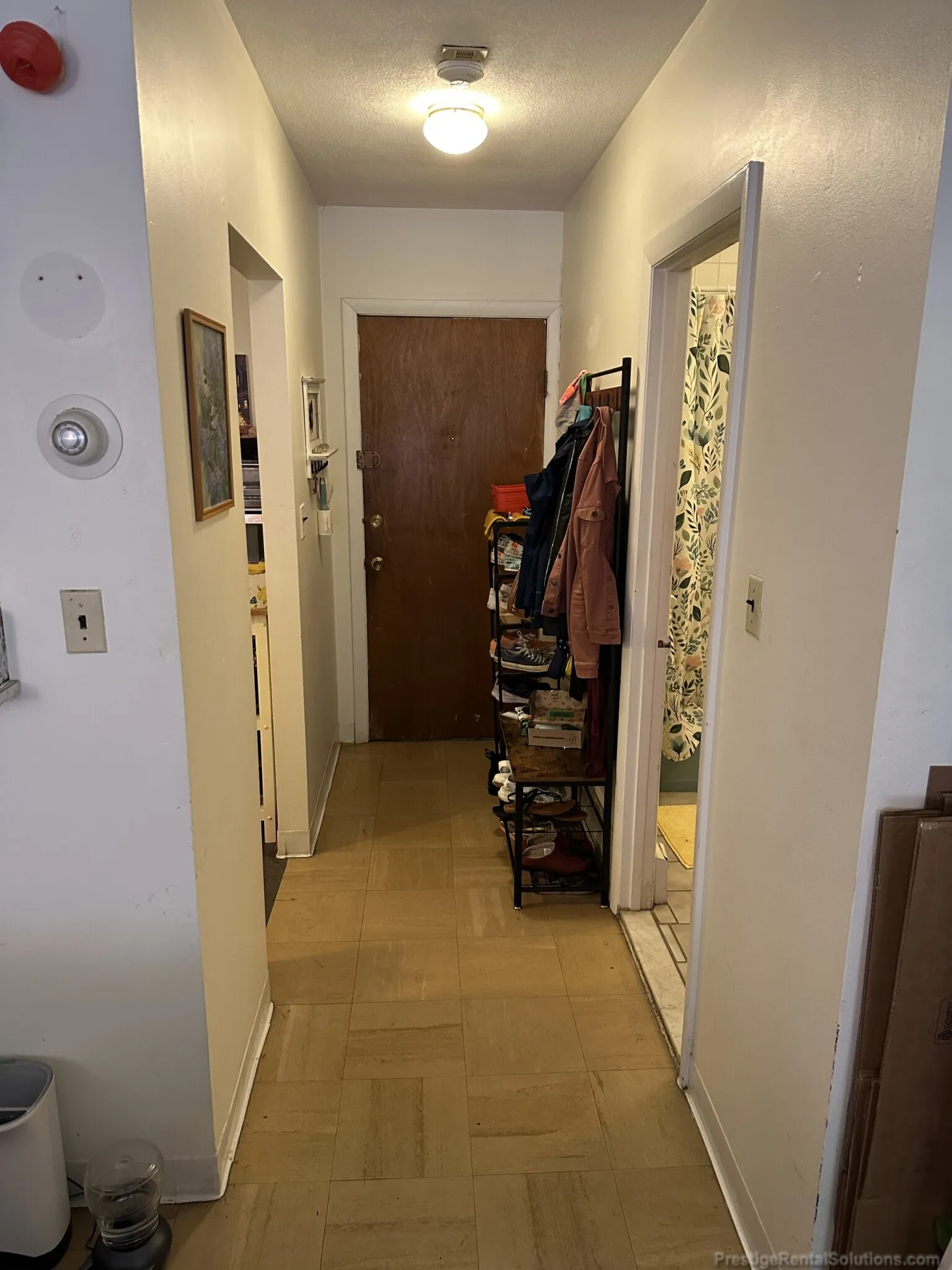 Studio bed, 1 bath apartment for rent at 30 Allston St Unit 3, Brighton — photo 4 of 11