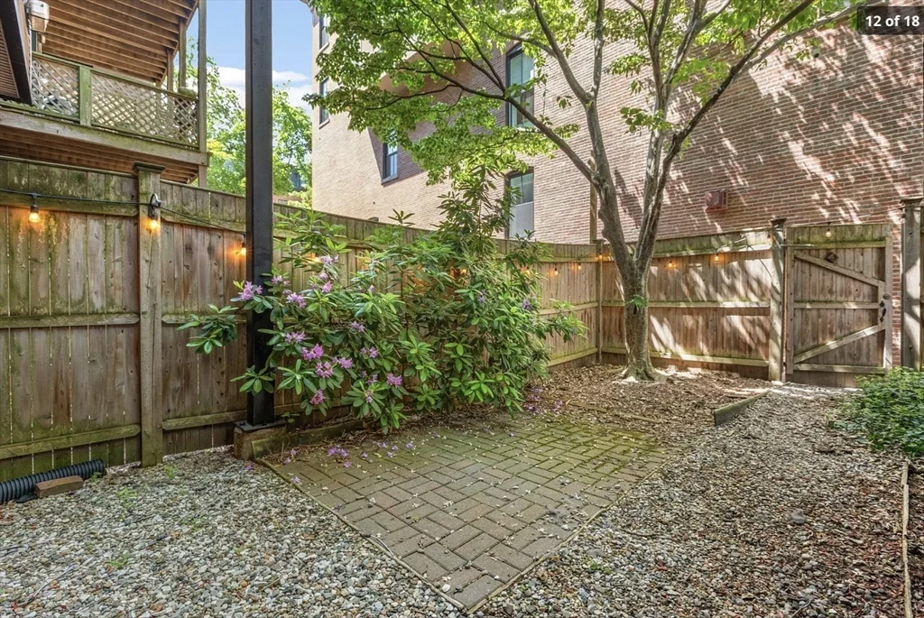 1 bed, 1 bath apartment for rent at 30 Dartmouth St Unit 1, South End — photo 11 of 11