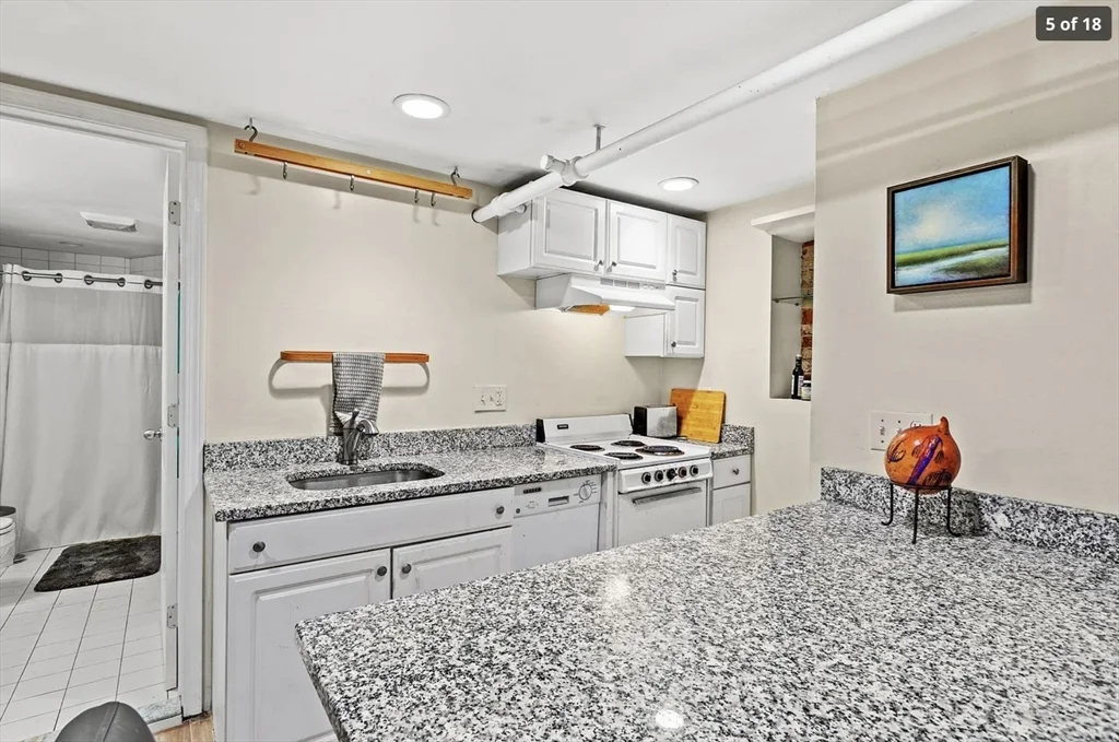 1 bed, 1 bath apartment for rent at 30 Dartmouth St Unit 1, South End — photo 4 of 11