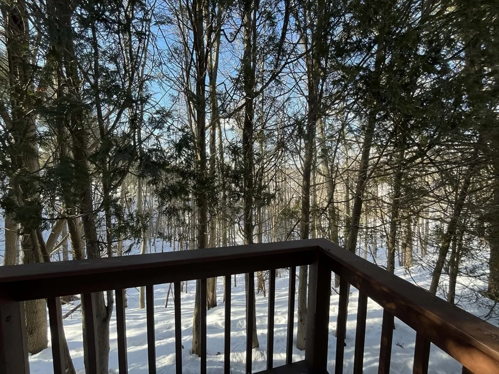 2 bed, 2 bath apartment for rent at 30 E Bluff Rd Unit 30, Ashland — photo 19 of 19
