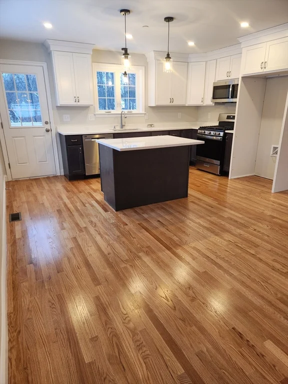 2 bed, 2 bath apartment for rent at 30 Four Seasons Dr Unit 30, Hampstead — photo 4 of 23