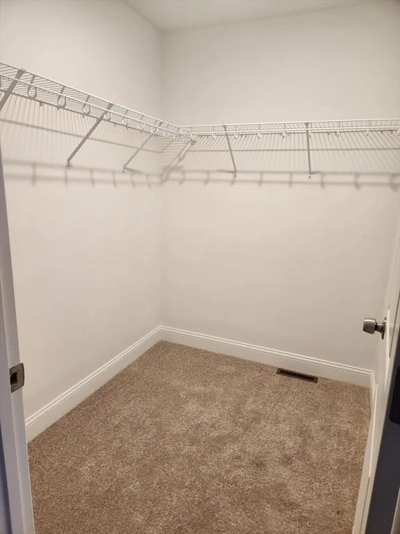 2 bed, 2 bath apartment for rent at 30 Four Seasons Dr Unit 30, Hampstead — photo 12 of 23