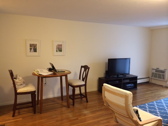 1 bed, 1 bath apartment for rent at 30 Fuller St Unit 104D, Coolidge Corner — photo 4 of 14