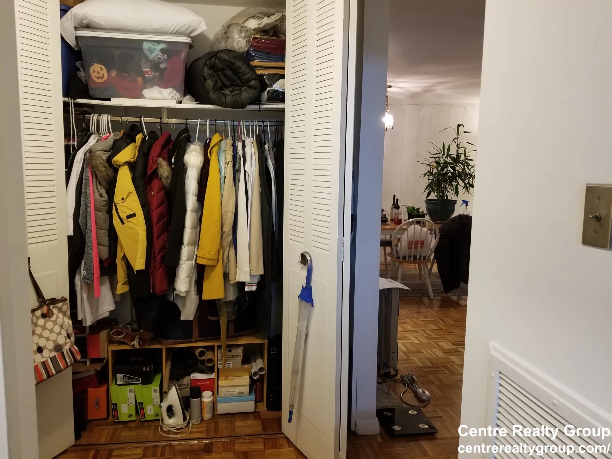 1 bed, 1 bath apartment for rent at 30 Gardner Rd Unit 3, Brookline — photo 8 of 10