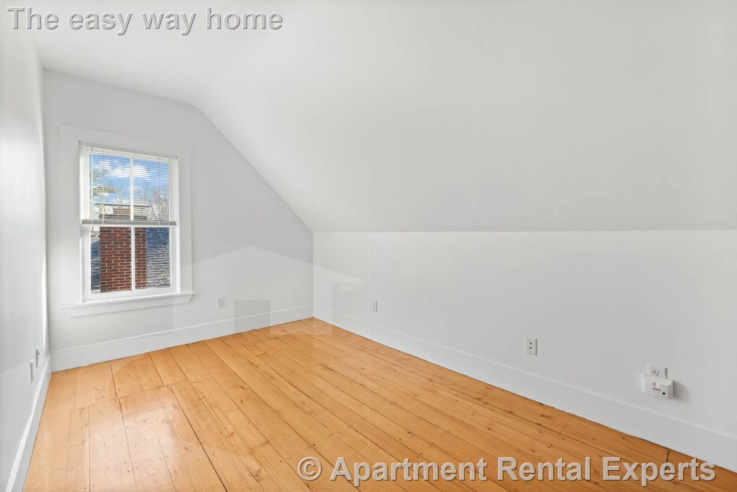 2 bed, 2 bath apartment for rent at 30 Healey St, Harvard Square — photo 18 of 24