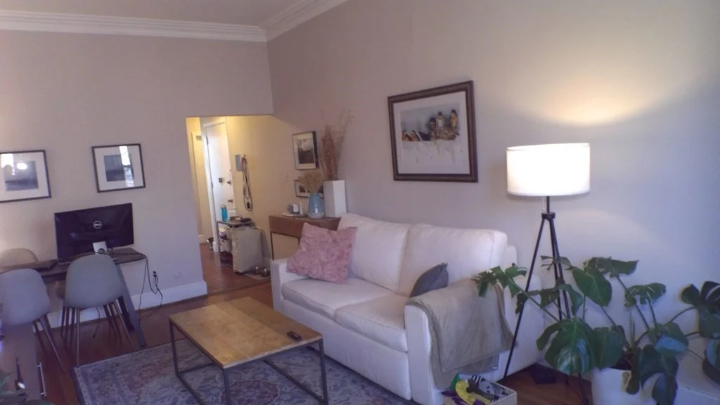 1 bed, 1 bath apartment for rent at 30 Holyoke St Unit 3, South End — photo 3 of 21