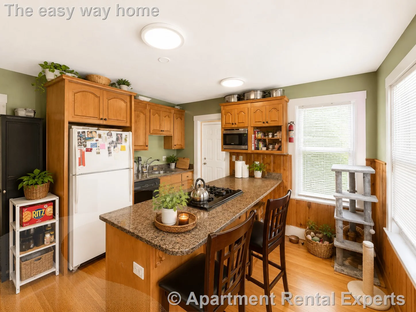 2 bed, 1 bath apartment for rent at 30 Hume Ave Unit 1, Tufts
