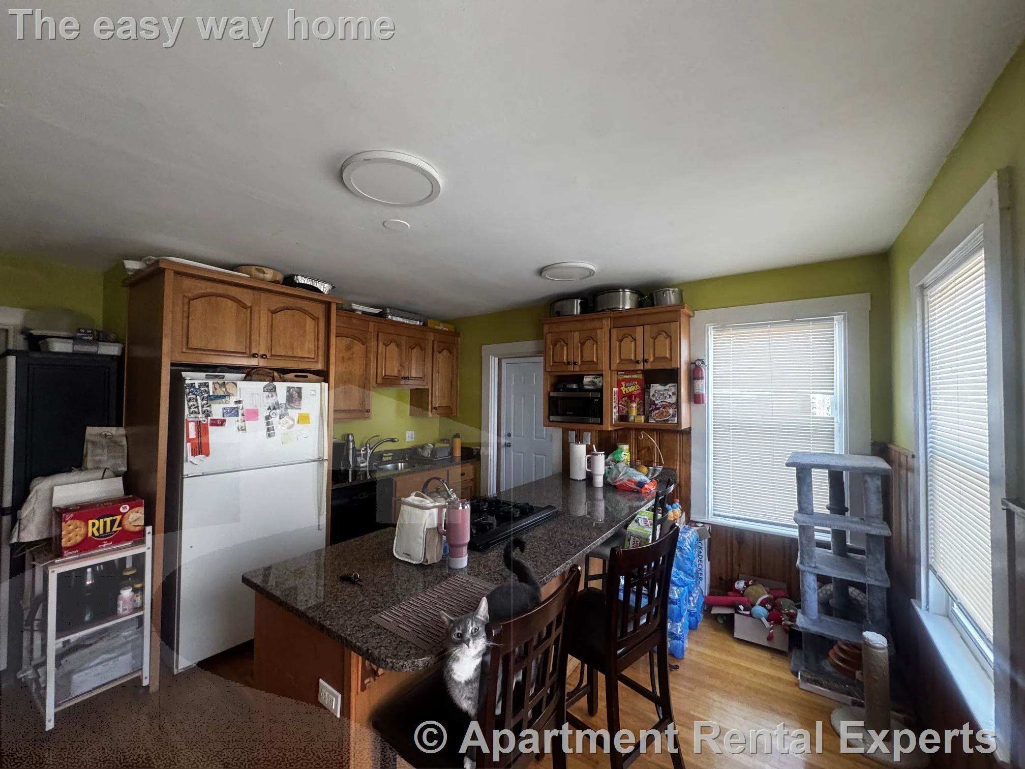 2 bed, 1 bath apartment for rent at 30 Hume Ave Unit 1, Tufts