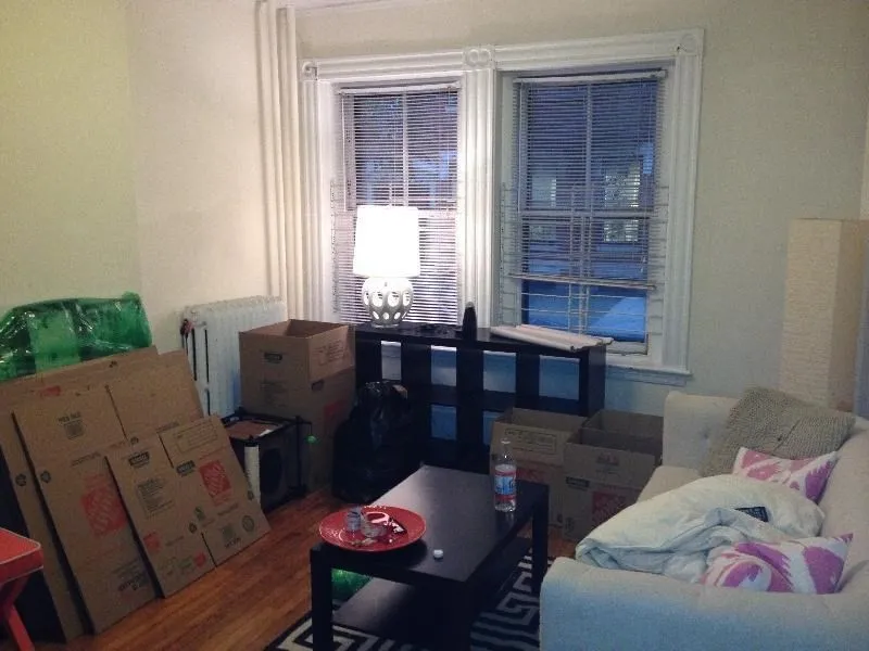 1 bed, 1 bath apartment for rent at 30 Isabella St Unit 1, Back Bay — photo 4 of 6