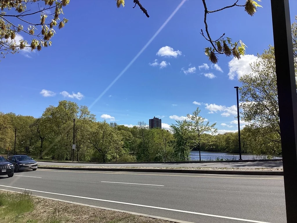 1 bed, 1 bath apartment for rent at 30 Jamaicaway Unit 10, Jamaica Plain — photo 9 of 10