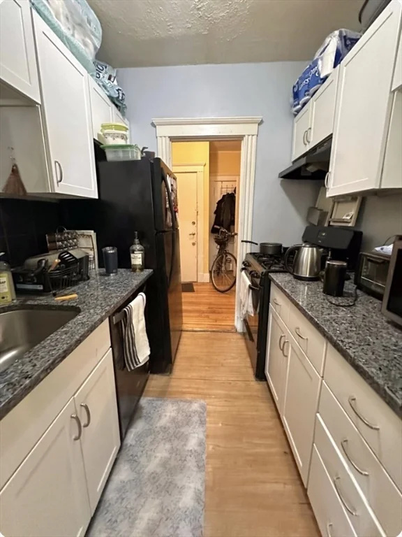 1 bed, 1 bath apartment for rent at 30 Jamaicaway Unit 3, Jamaica Plain — photo 5 of 10