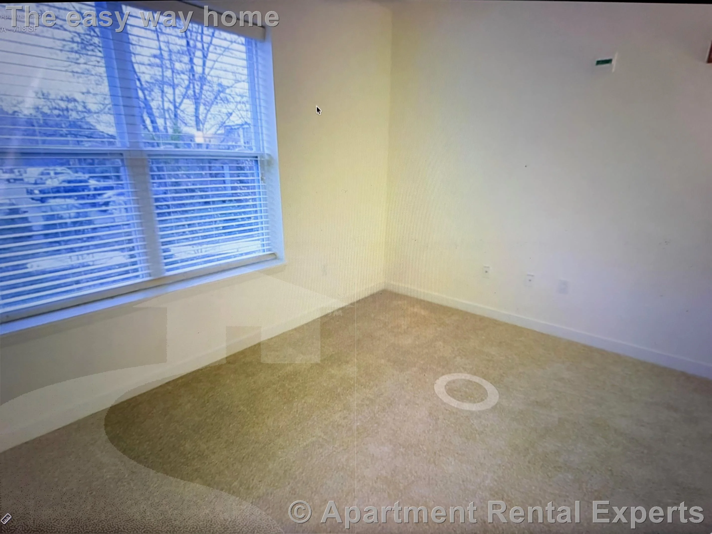 1 bed, 1 bath apartment for rent at 30 Mill St Unit Cooke layout, Arlington Center — photo 7 of 24