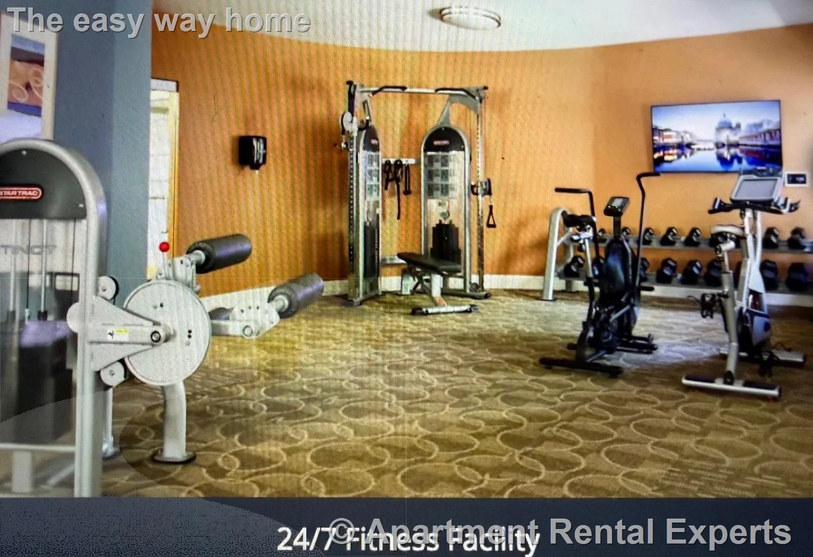 1 bed, 1 bath apartment for rent at 30 Mill St Unit Cooke layout, Arlington Center — photo 22 of 24