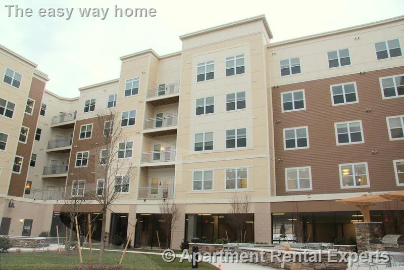1 bed, 1 bath apartment for rent at 30 Mill St Unit Cooke layout, Arlington Center — photo 24 of 24