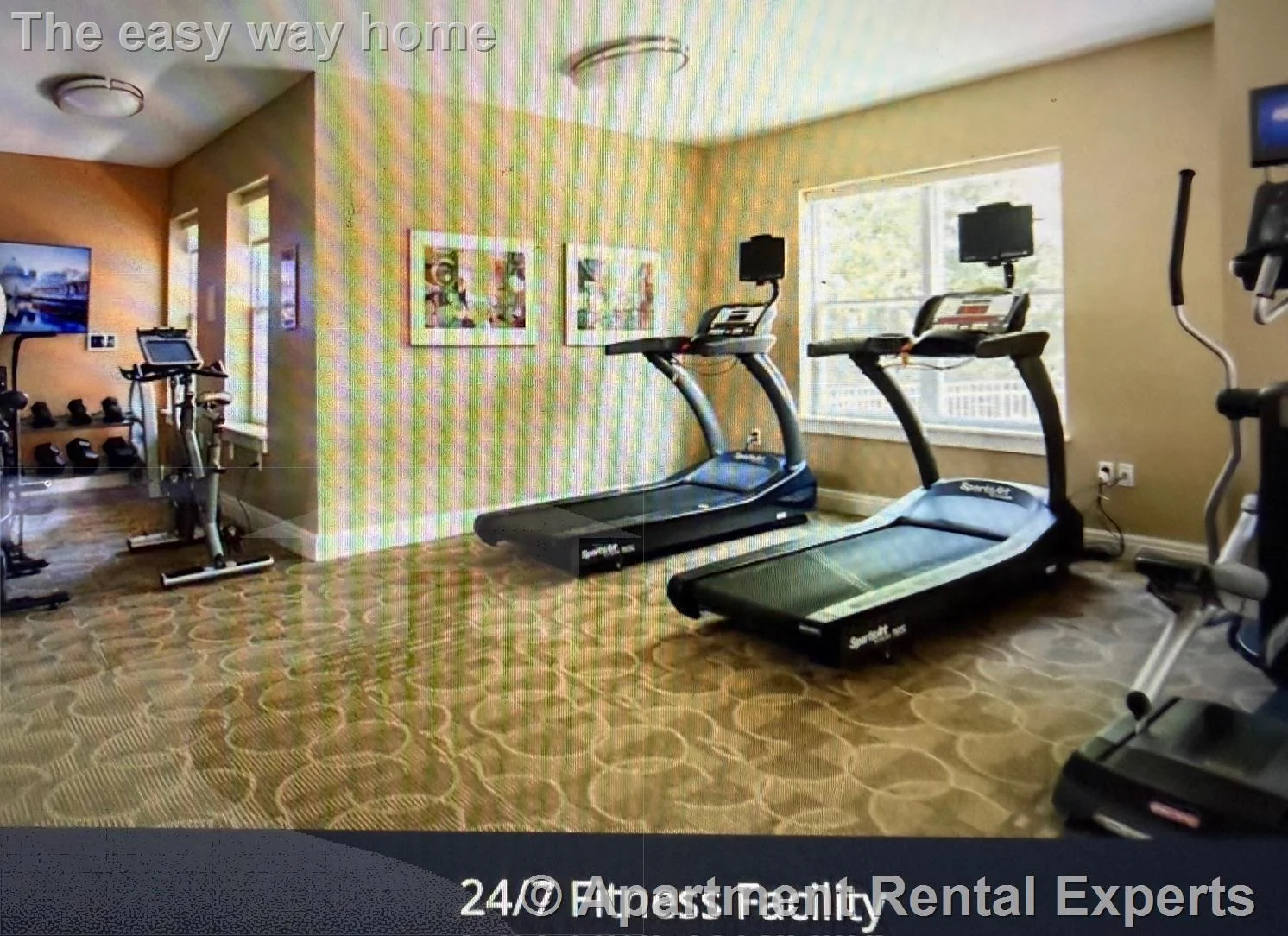 1 bed, 1 bath apartment for rent at 30 Mill St Unit Cooke layout, Arlington Center — photo 17 of 24