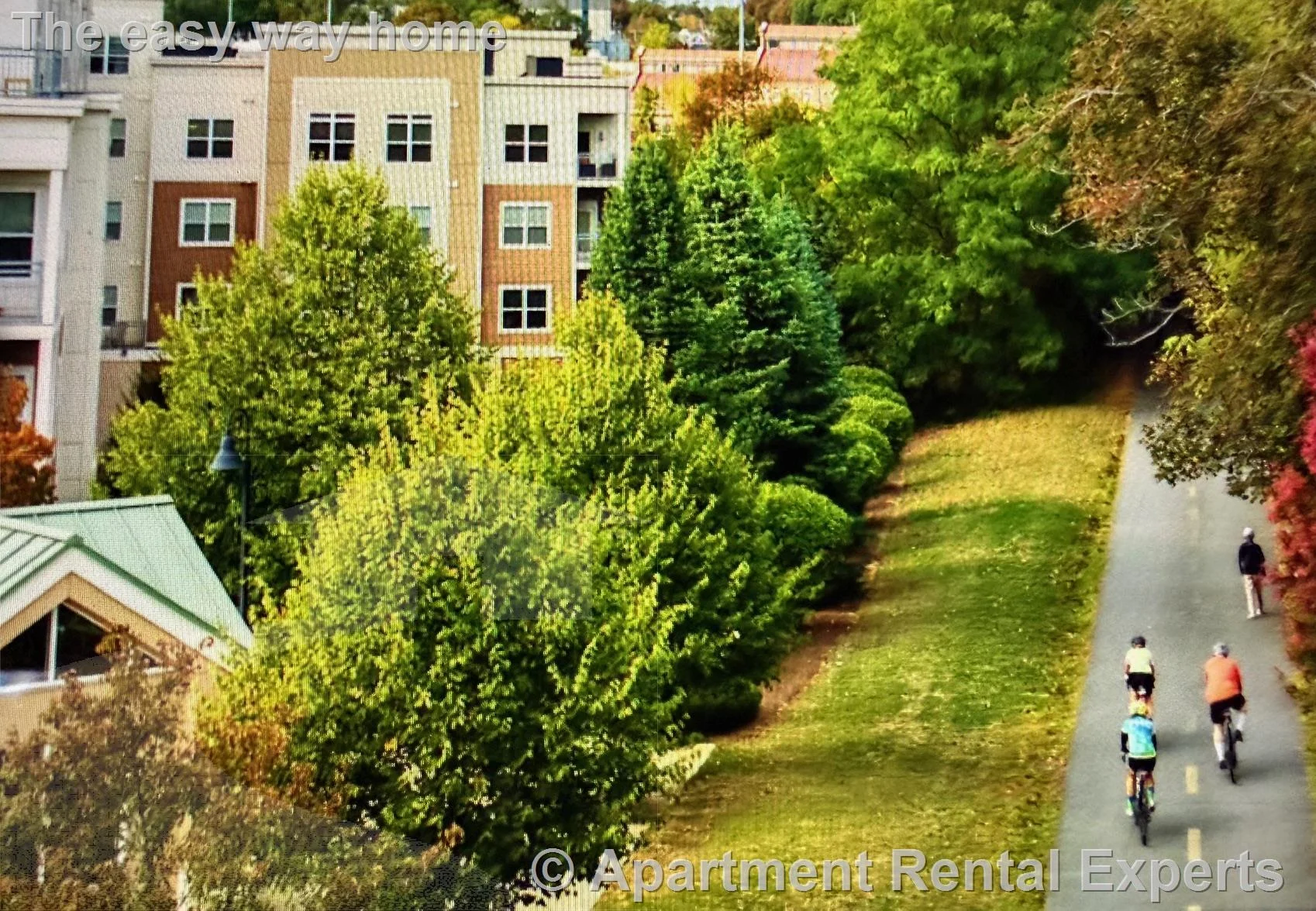1 bed, 1 bath apartment for rent at 30 Mill St Unit Menotomy layout, Arlington Center — photo 15 of 16